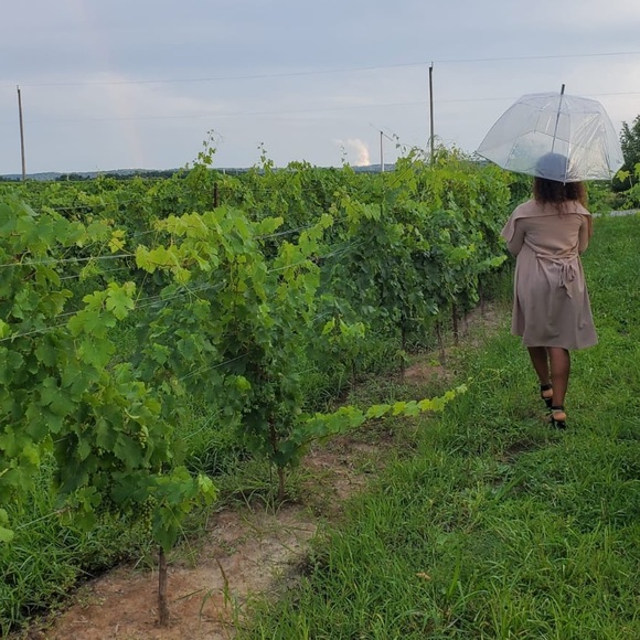 Meet your Posher, Dashenita - Picture 1 of 1